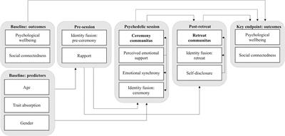 Psychedelic Communitas: Intersubjective Experience During Psychedelic Group Sessions Predicts Enduring Changes in Psychological Wellbeing and Social Connectedness